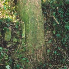 Milestone, 100m S of crossroads where Turnpike Cottage stands on road leading to Whispering Knights