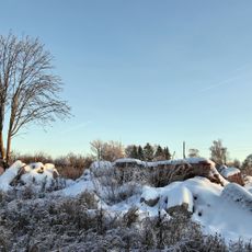Конюшня и сарай каретный усадьбы Рогозиных (Черниж)