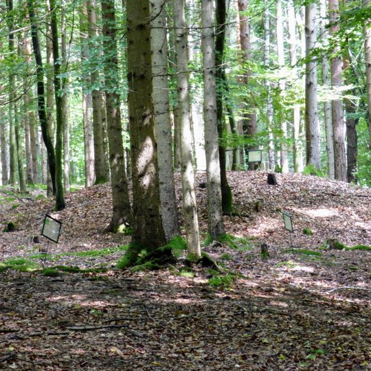 Hügelgräberfeld Birich