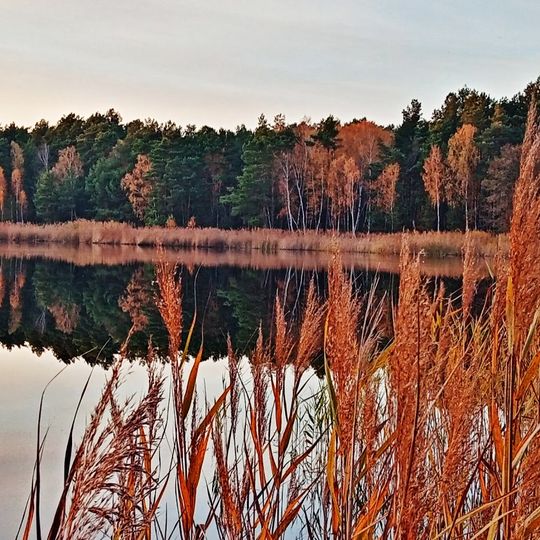 Rezerwat przyrody Śliże