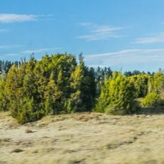 The Wilderness Area Scientific Reserve