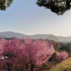 Tokushima Botanical Garden