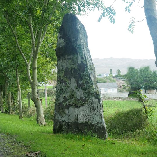 Menhir von Cooradarrigan