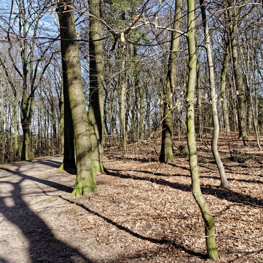 Waldpark Marienhöhe