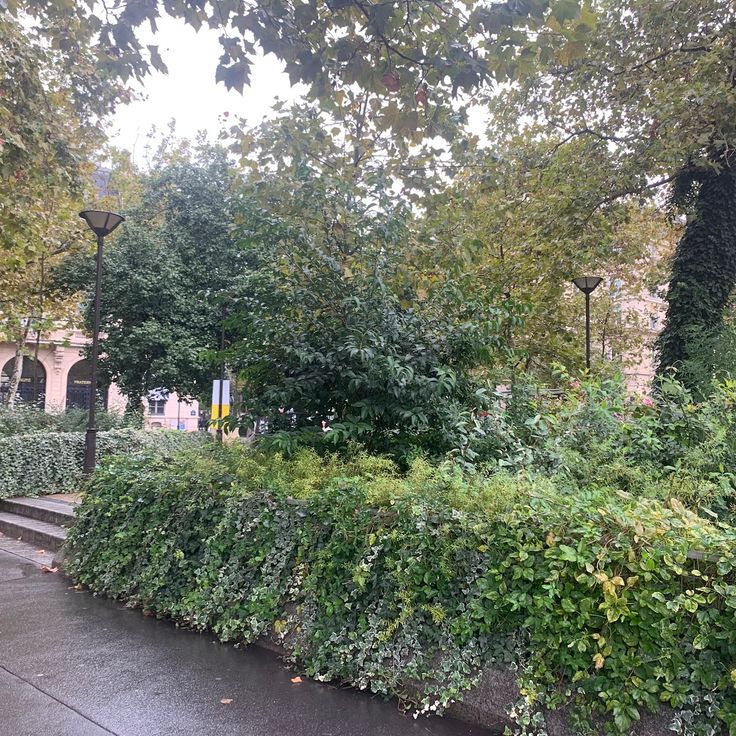 Place Léon Blum