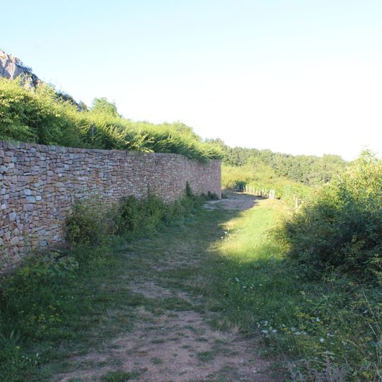 Gisement préhistorique de Solutré