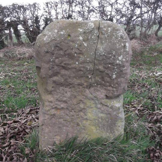 Milestone, 30m W of entrance to Field House Farm