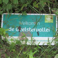 Geelstervallei