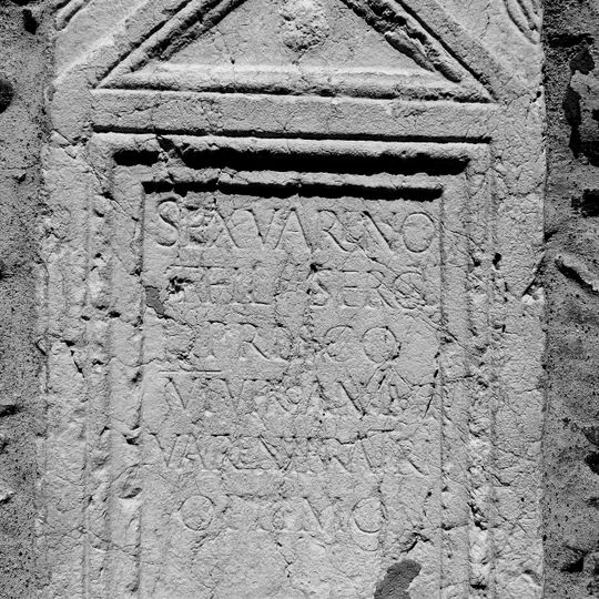 Tarnaiae, Vicus celtique / gallo-romain