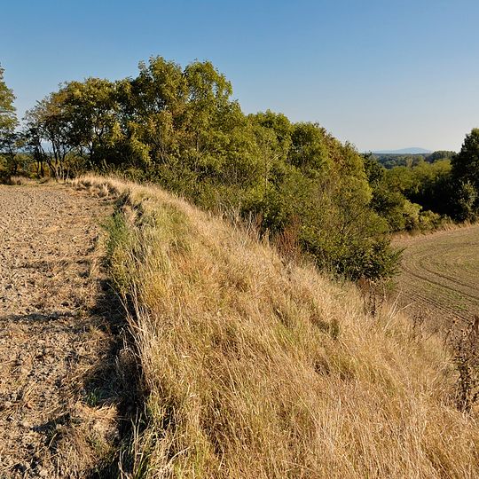 Urzeitliche Siedlung am Buhuberg