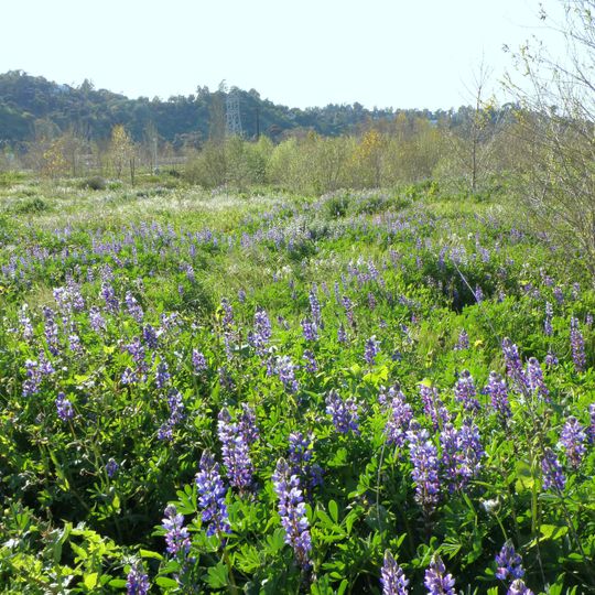 Parque estatal Río de Los Ángeles