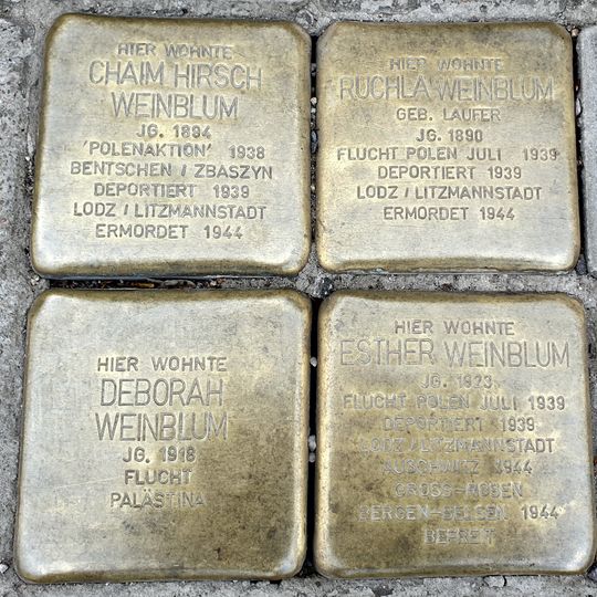 Stolperstein für Chaim Hirsch  Weinblum