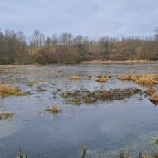 Moorweiher bei Rastorf
