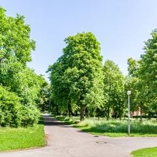 Lindenhain sog. „Allee“ St. Georgen