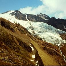 Rofenkarferner