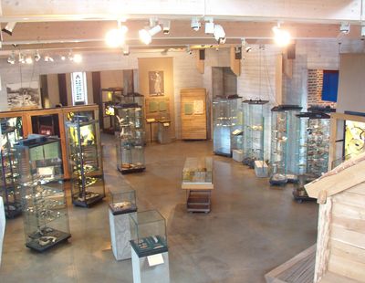 Interior 1
