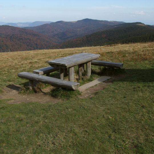 Jaworzyna Kamienicka