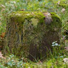 Grenzstein Fürther Stadtwald in Fürth