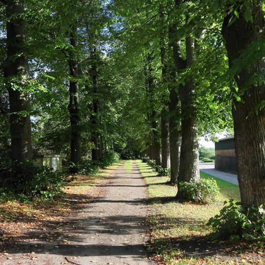 Gut Altfresenburg: Allee am Gut
