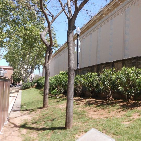 Les sòfores evangelistes