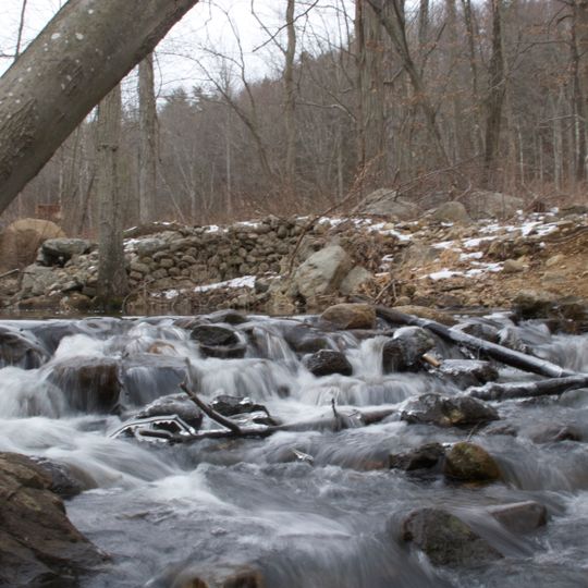 Bennett's Pond State Park