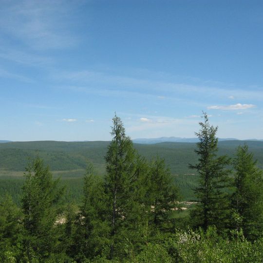 Neryungrinsky District