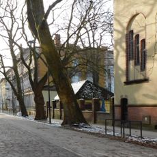 Pomnikowe platany przy ulicy Szarych Szeregów 1