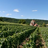 Courthiézy