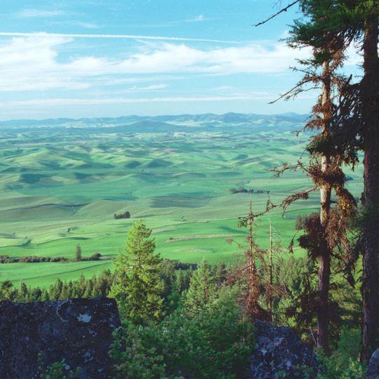 Palouse