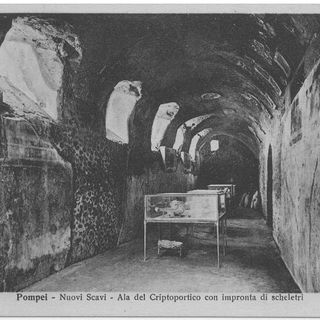 House of Cryptoporticus (I.6.2)