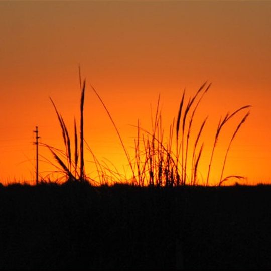 Campos del Tuyú National Park