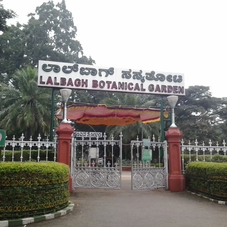 Rio de Janeiro Botanical Gardens