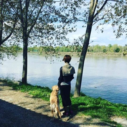 Golena del Po presso Zibello