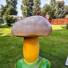 Podgrzybek brunatny