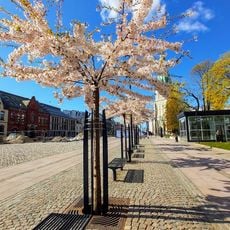 Wergelandsparken