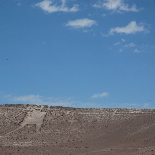 Atacama Giant