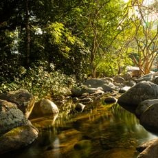 Bacia do Rio Macacu Environmental Protection Area