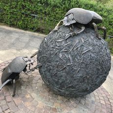 Beetle art