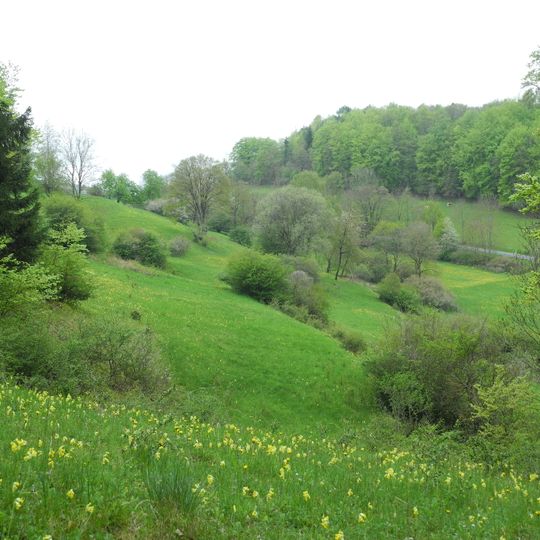 Weißbachtal bei Reichenbach