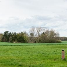 Clay pit east of Schildau
