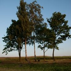 Cmentarz wojenny z I wojny światowej w Józefowie