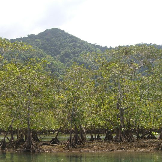 Utría National Natural Park