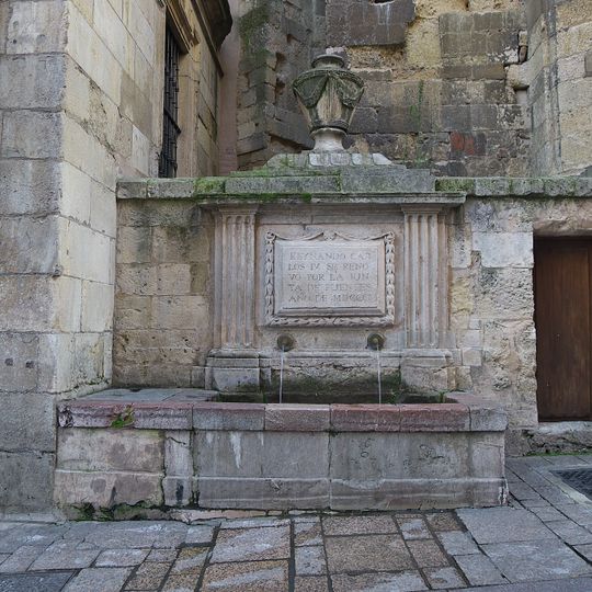 Fuente de San Martín