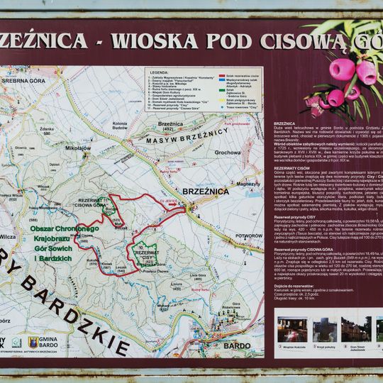Rezerwat przyrody Cisowa Góra
