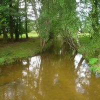 distretto di Włoszczowa