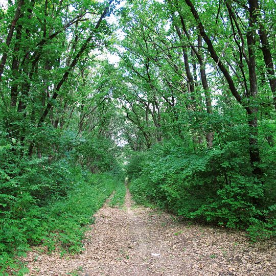 Hrushuvatskyi Reserve