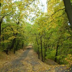 Park on Wolności Hill, Bydgoszcz