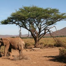 Samburu National Reserve