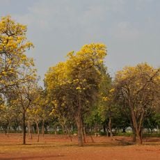 Sanjeevaiah Park