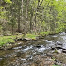Quehanna Wild Area
